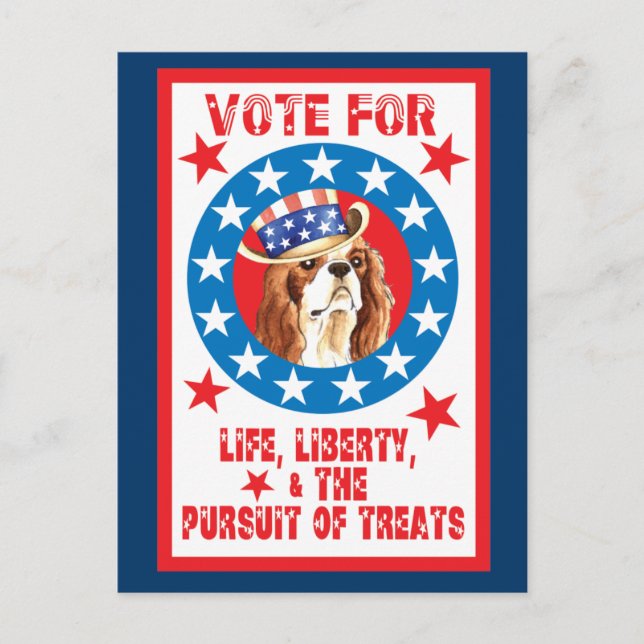 Postal Votación por Cavalier (Anverso)