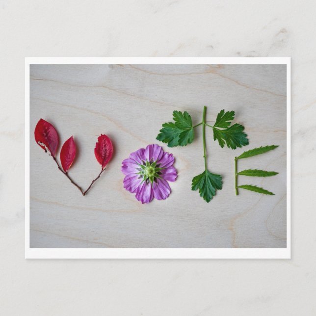 Postal Votar (Anverso)