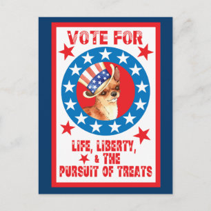 Postal Votar por Chihuahua