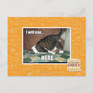 Postal Voy a echarme una siesta aquí