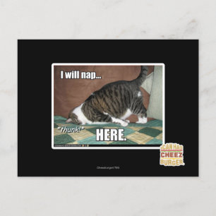 Postal Voy a echarme una siesta aquí