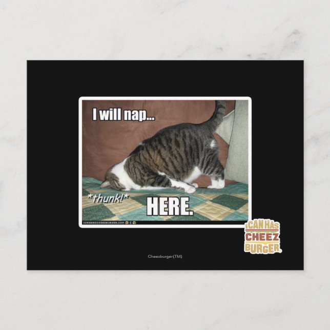 Postal Voy a echarme una siesta aquí (Anverso)