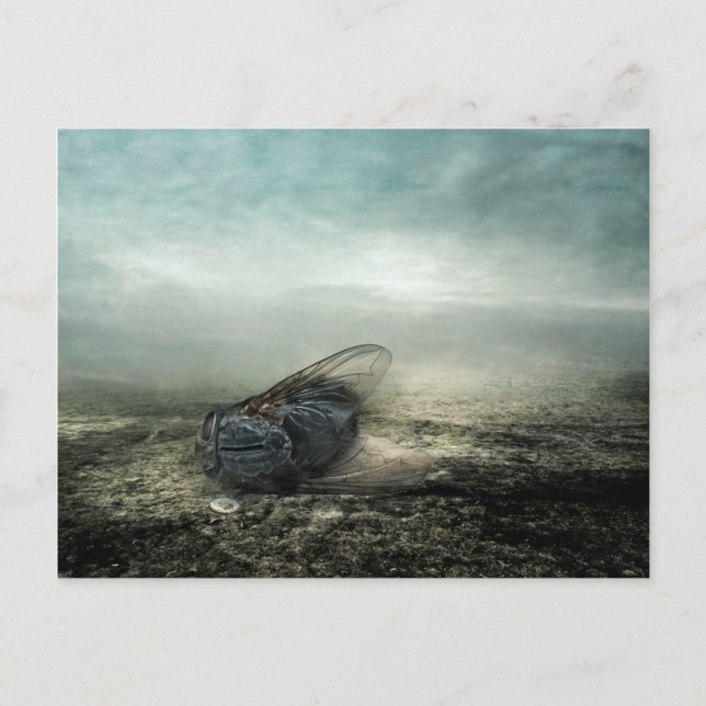 Postal Vuelo 2013 (Anverso)