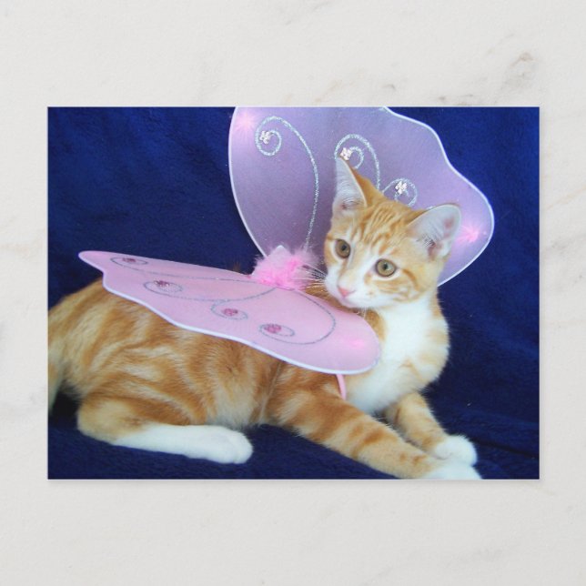 Postal Vuelo de hadas (Anverso)