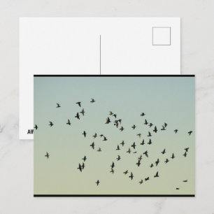 Postal Vuelo de las palomas