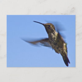 Postal Vuelo del colibrí