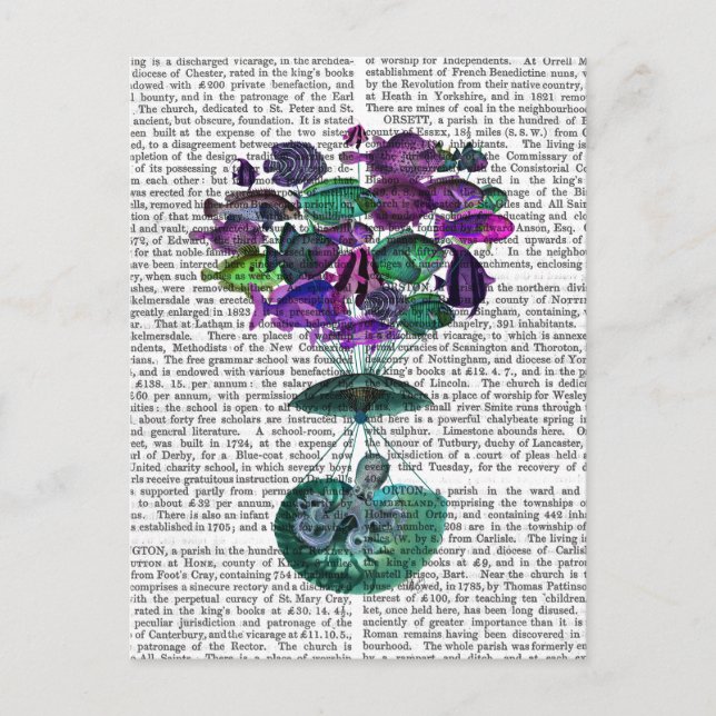 Postal Vuelo Del Globo De Aire Caliente De Pescado (Anverso)