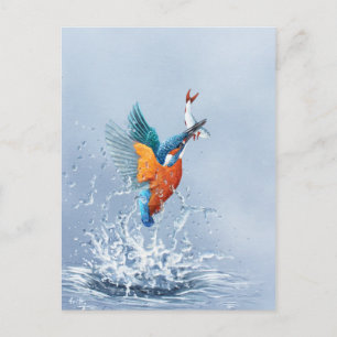 Postal Vuelo del martín pescador fuera del agua