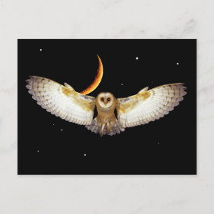 Postal "Vuelo nocturno"