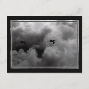 Postal Vuelo Pelícano