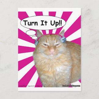 Postal ¡Vuelta del gatito del hippy él para arriba!!