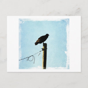 Postal Vulnerabilidad