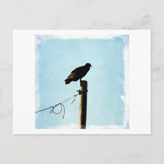 Postal Vulnerabilidad (Anverso)