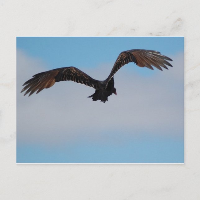 Postal Vulnerabilidad (Anverso)