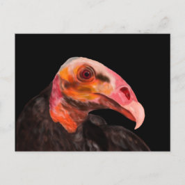 Postal Vultura de Savannah