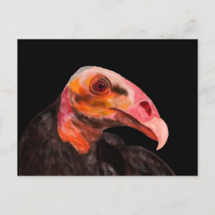 Postal Vultura de Savannah