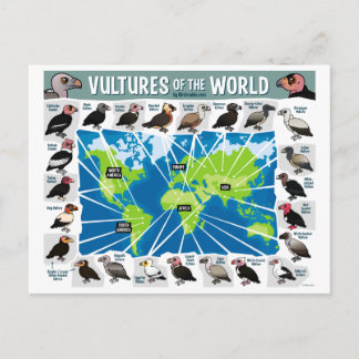 Postal Vulturas del Mapa Mundial