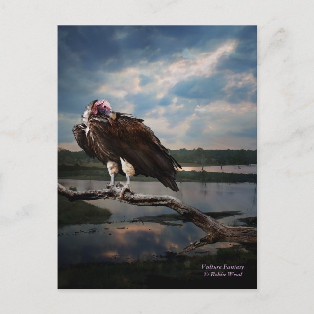 Postal Vulture Fantasy (Anverso)