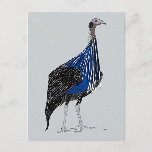 Postal Vulturine Guineafowl (Anverso)