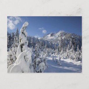 Postal WA, Alpine Lakes Wilderness, cuenca del lago Snow
