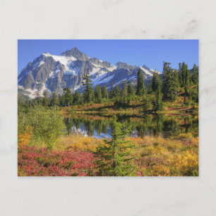 Postal WA, Área Recreativa Heather Meadows, Mt. 2