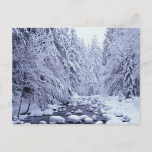 Postal WA, Bosque Nacional Mount Baker-Snoqualmie,