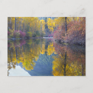 Postal WA, Bosque Nacional Wenatchee, arroyo Whitepine,