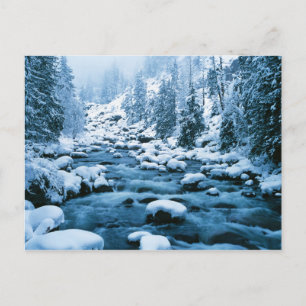 Postal WA, Bosque Nacional Wenatchee, Cascada