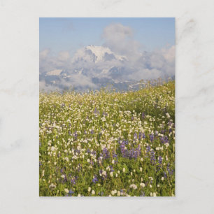 Postal WA, Mt. Baker Wilderness, Mt. Shuksan y