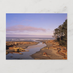 Postal WA, Olympic NP, Kalaloch Beach y Kalaloch