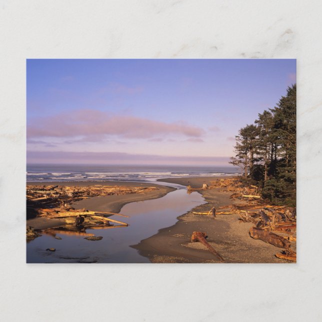 Postal WA, Olympic NP, Kalaloch Beach y Kalaloch (Anverso)