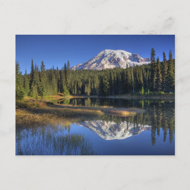 Postal WA, Parque Nacional Mt. Rainier, Mt. Rainier (Anverso)