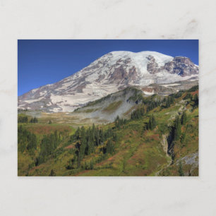 Postal WA, Parque Nacional Mt. Rainier, vista desde la