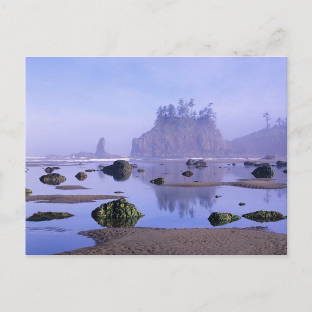 Postal WA, Parque Nacional Olímpico, Second Beach, (Anverso)