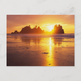 Postal WA, PN Olympic, playa Shi Shi al atardecer, Punta