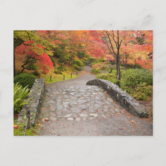 Postal WA, Seattle, Arboreto del Parque Washington, (Anverso)