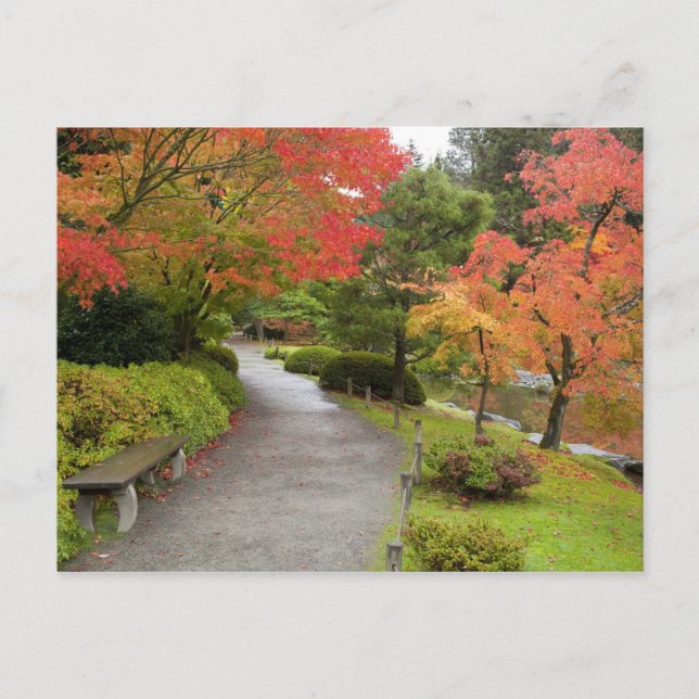 Postal WA, Seattle, Arboreto del Parque Washington, 2 (Anverso)
