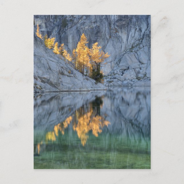 Postal WA, Selva de los lagos alpinos, encantamiento 3 (Anverso)