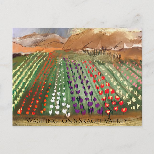 Postal WA Skagit Valley Tulip Fields Soñar primavera (Anverso)