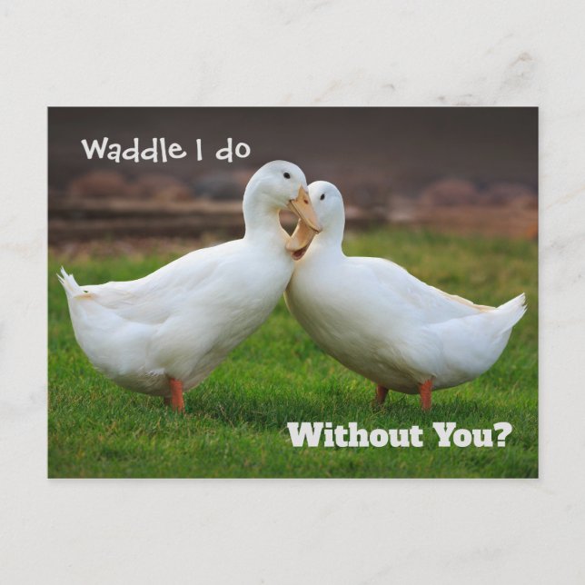 Postal Waddle I Do Funny Ducks (Anverso)
