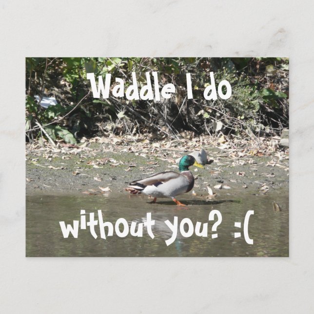 Postal ¿Waddle, sin ti? :( (Anverso)