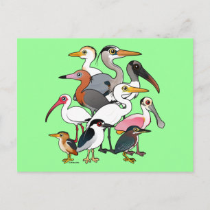 Postal Waders de Norteamérica