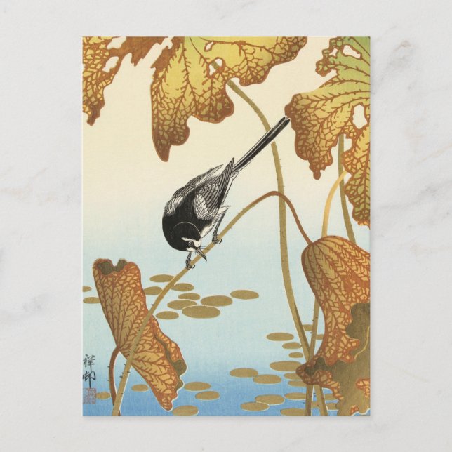 Postal Wagtail japonés en planta Lotus de Ohara Koson (Anverso)