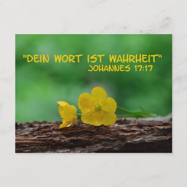 Postal Wahrheit...... (Anverso)