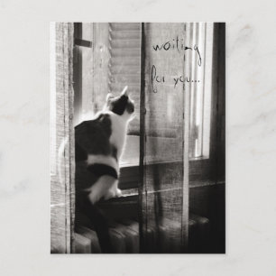 Postal Waiting for you - Postcard