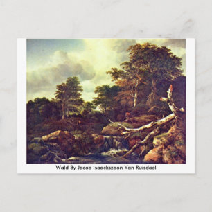 Postal Wald By Jacob Isaackszoon Van Ruisdael