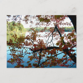 Postal Walden Pond a través de hojas de otoño