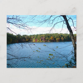 Postal Walden Pond en otoño