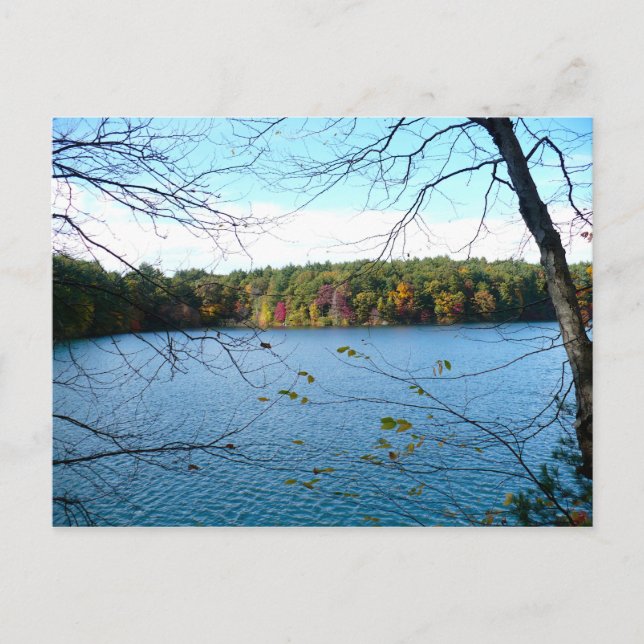 Postal Walden Pond en otoño (Anverso)