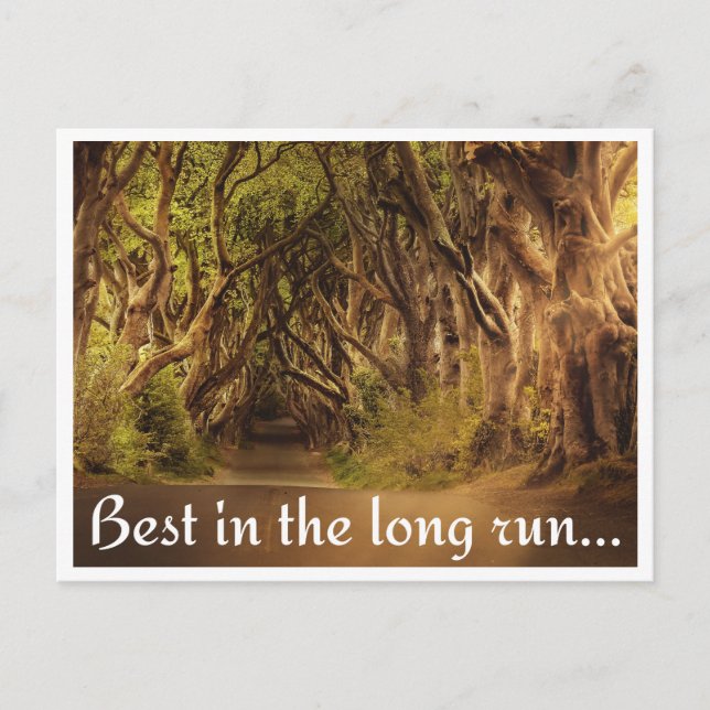 Postal Waldweg dem Spruch "Best in the long run." (Anverso)